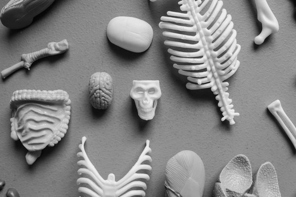 Enhance your wellbeing: premier pelvic stability exercises for expectant mothers in the uk!